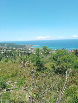 First image of Lot 186- Culloden, Whitehouse, Wes in WHITEHOUSE, Westmoreland, Jamaica - property is For Sale