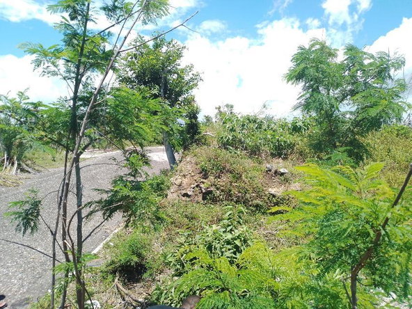 Second image of Lot 186- Culloden, Whitehouse, Wes in WHITEHOUSE, Westmoreland, Jamaica - property is For Sale