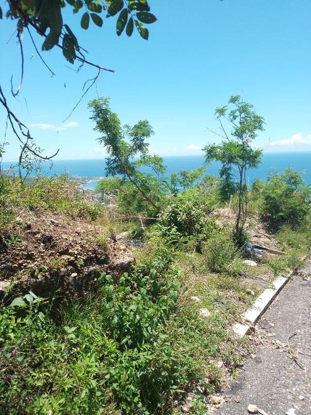 Fifth image of Lot 186- Culloden, Whitehouse, Wes in WHITEHOUSE, Westmoreland, Jamaica - property is For Sale