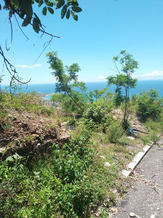 Fifth image of Lot 186- Culloden, Whitehouse, Wes in WHITEHOUSE, Westmoreland, Jamaica - property is For Sale
