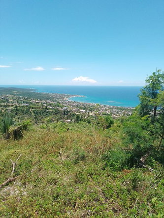 Seventh image of Lot 186- Culloden, Whitehouse, Wes in WHITEHOUSE, Westmoreland, Jamaica - property is For Sale