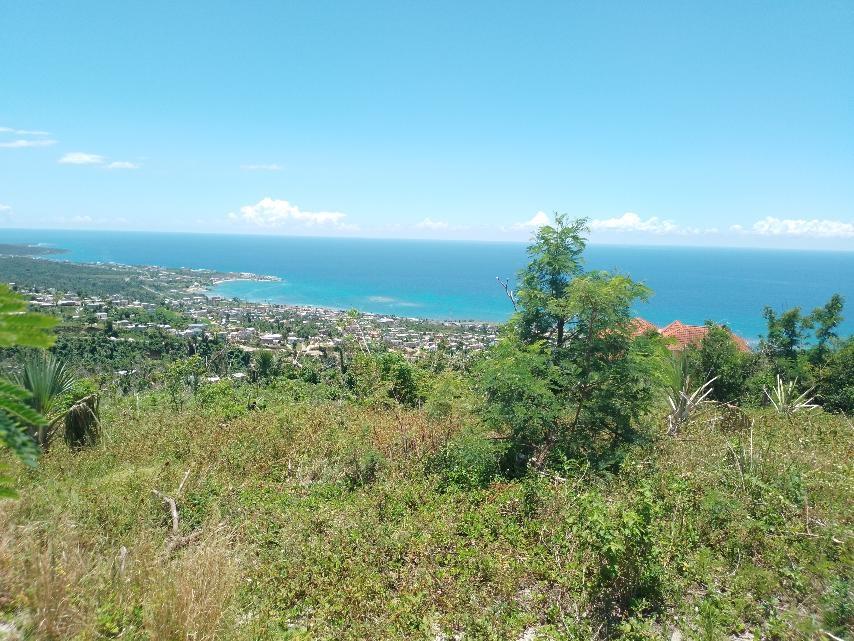 Eighth image of Lot 186- Culloden, Whitehouse, Wes in WHITEHOUSE, Westmoreland, Jamaica - property is For Sale