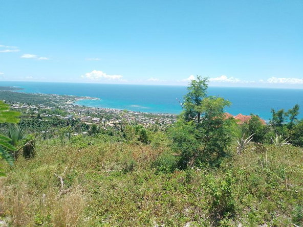 Eighth image of Lot 186- Culloden, Whitehouse, Wes in WHITEHOUSE, Westmoreland, Jamaica - property is For Sale
