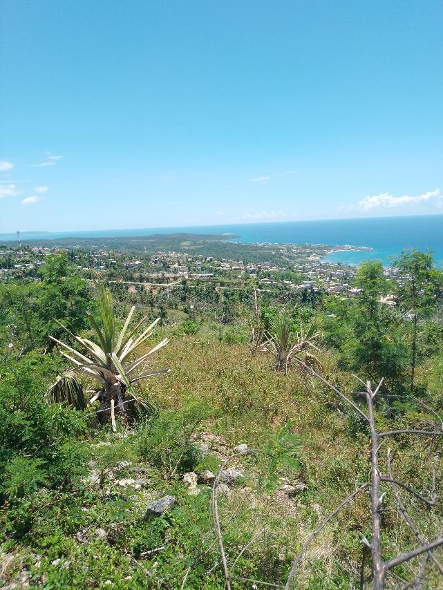 Ninth image of Lot 186- Culloden, Whitehouse, Wes in WHITEHOUSE, Westmoreland, Jamaica - property is For Sale