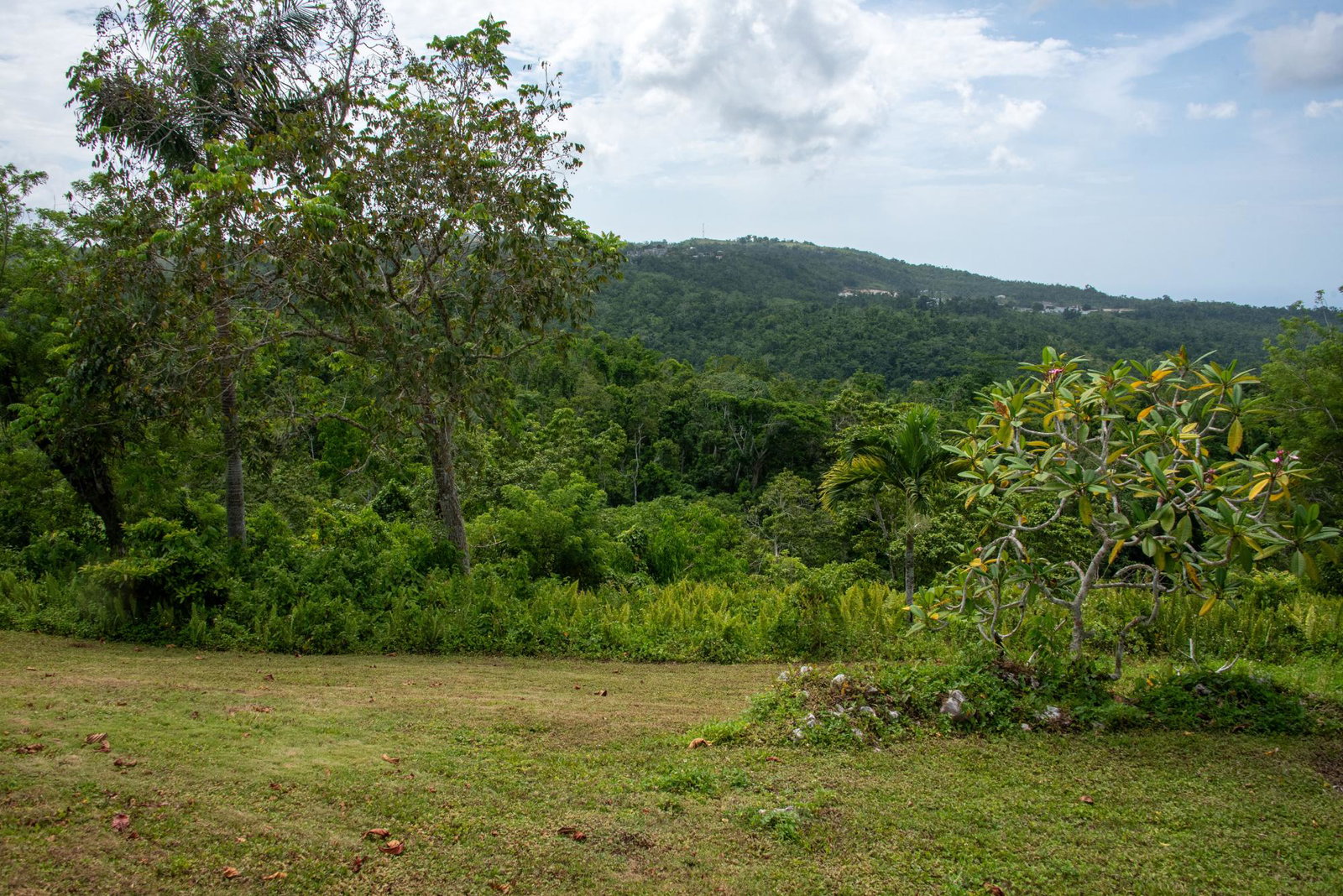 Tenth image of Pil. Lodge- Mount Pleasant in Cole Gate, St. Ann, Jamaica - property is For Sale