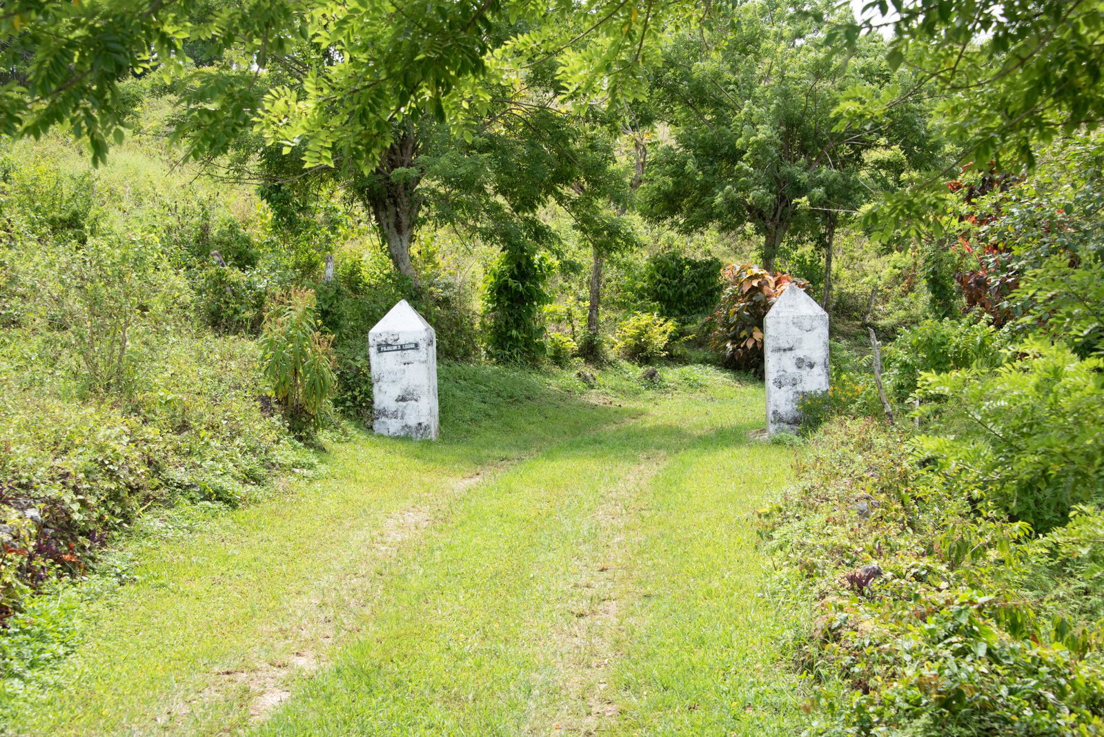 Second image of Pil. Lodge- Mount Pleasant in Cole Gate, St. Ann, Jamaica - property is For Sale