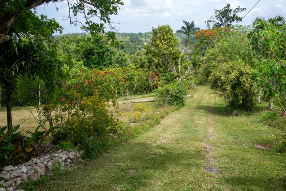 Third image of Pil. Lodge- Mount Pleasant in Cole Gate, St. Ann, Jamaica - property is For Sale
