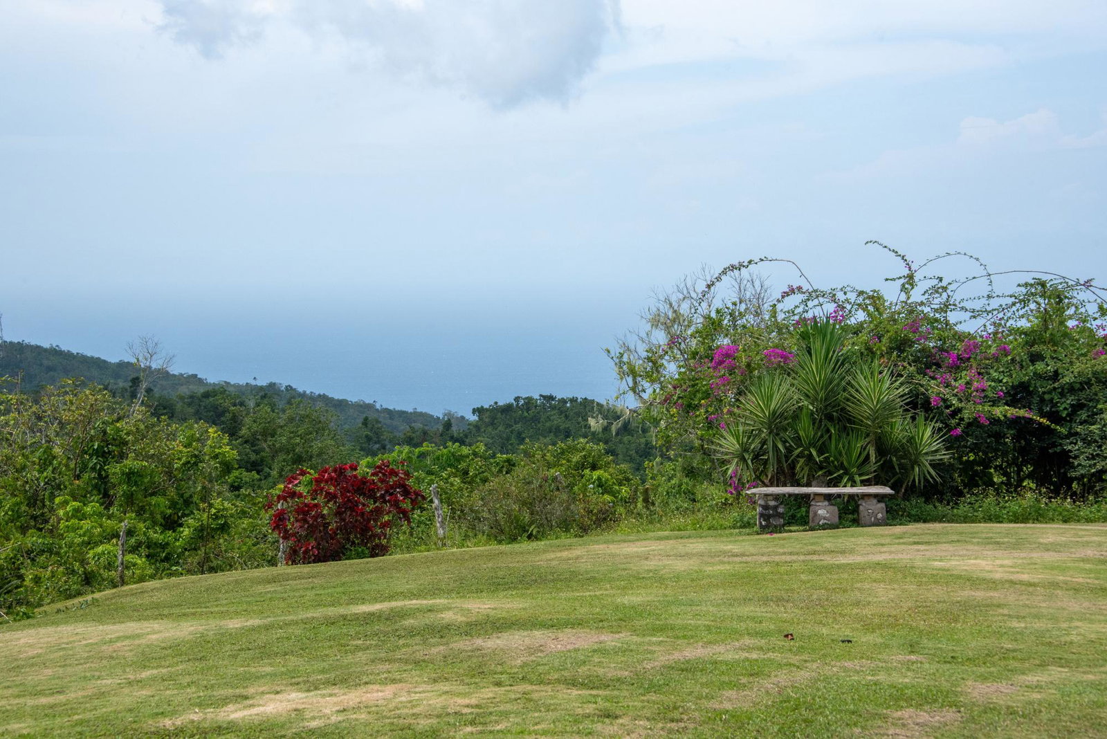 Seventh image of Pil. Lodge- Mount Pleasant in Cole Gate, St. Ann, Jamaica - property is For Sale