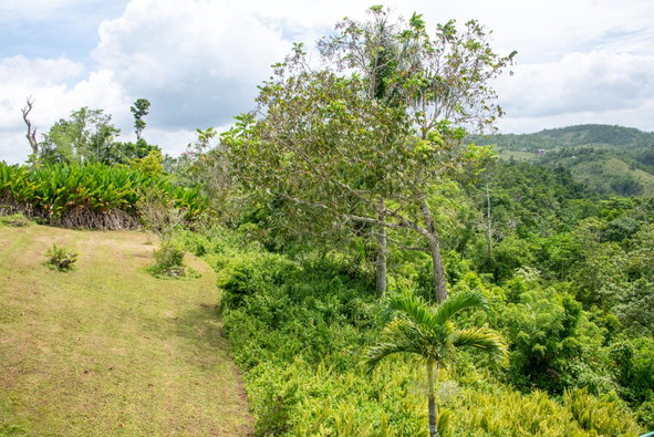 Ninth image of Pil. Lodge- Mount Pleasant in Cole Gate, St. Ann, Jamaica - property is For Sale