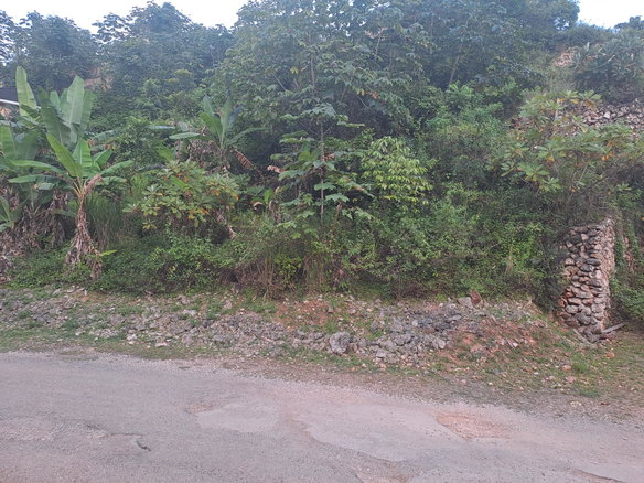 First image of Vantage View Estate in Red Hills, St. Andrew, Jamaica - property is For Sale