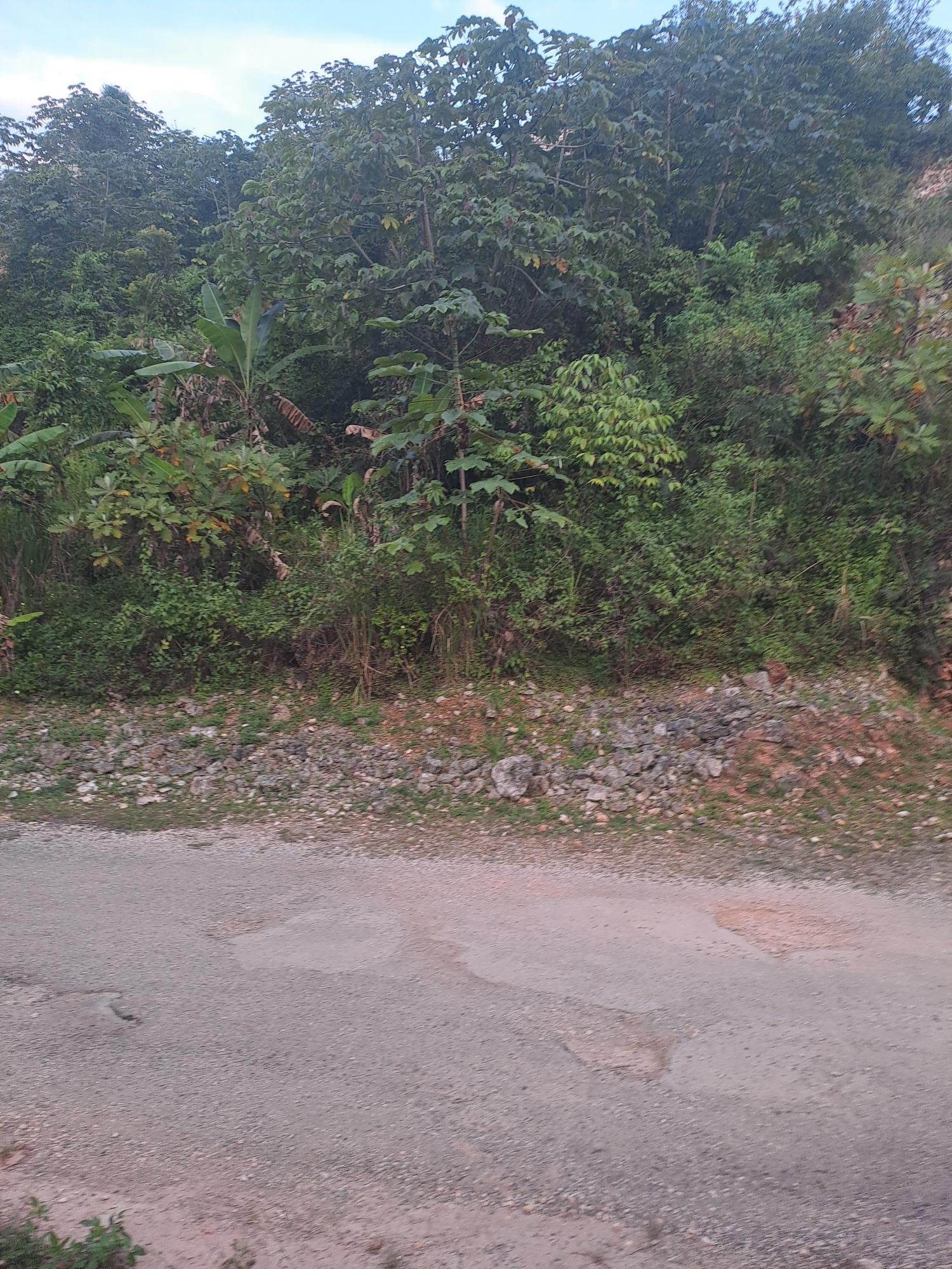 Third image of Vantage View Estate in Red Hills, St. Andrew, Jamaica - property is For Sale