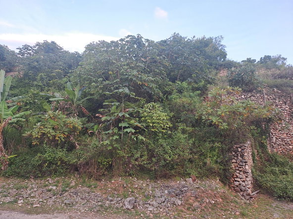 Fourth image of Vantage View Estate in Red Hills, St. Andrew, Jamaica - property is For Sale