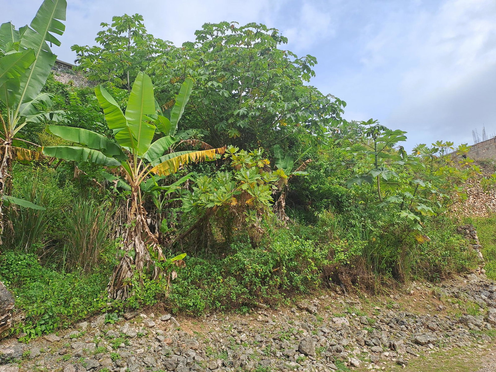 Fifth image of Vantage View Estate in Red Hills, St. Andrew, Jamaica - property is For Sale