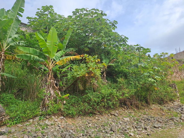 Fifth image of Vantage View Estate in Red Hills, St. Andrew, Jamaica - property is For Sale