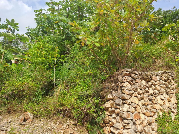 Sixth image of Vantage View Estate in Red Hills, St. Andrew, Jamaica - property is For Sale
