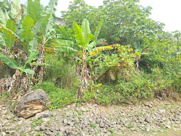 Seventh image of Vantage View Estate in Red Hills, St. Andrew, Jamaica - property is For Sale