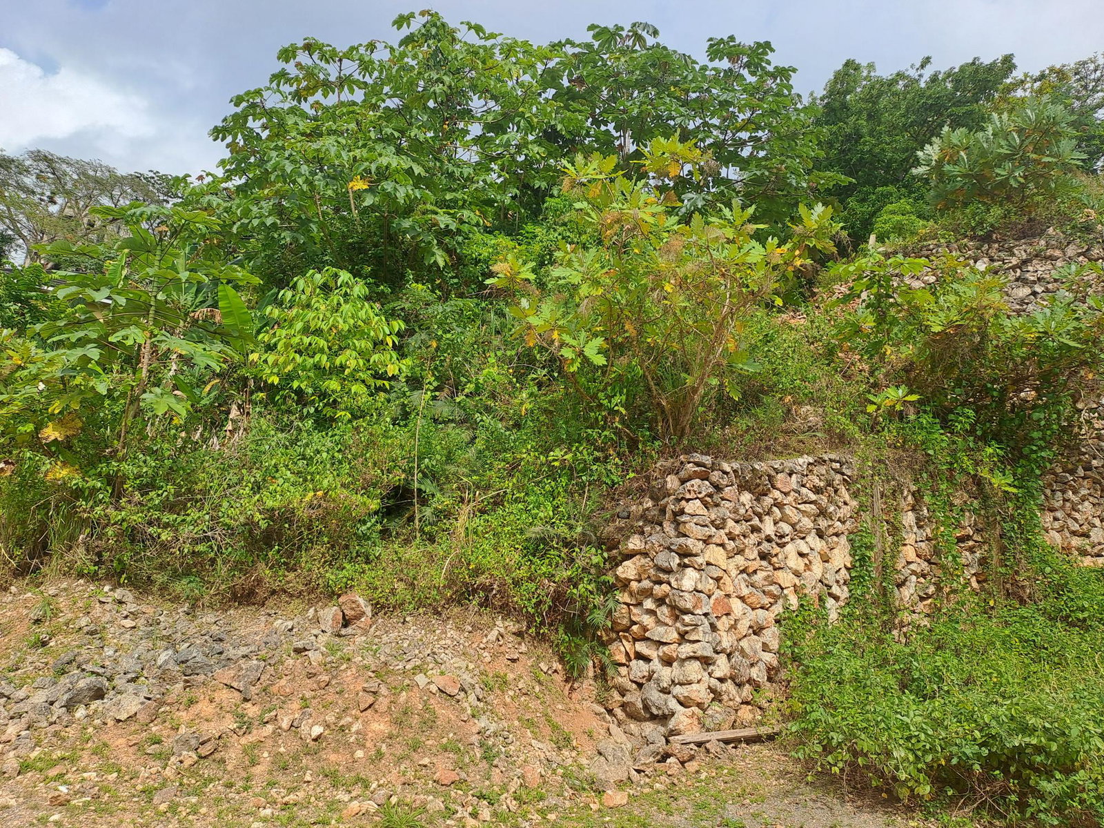 Eighth image of Vantage View Estate in Red Hills, St. Andrew, Jamaica - property is For Sale