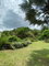 First image of 15 Cherry Hill Drive in Kingston 8, St. Andrew, Jamaica - property is For Sale