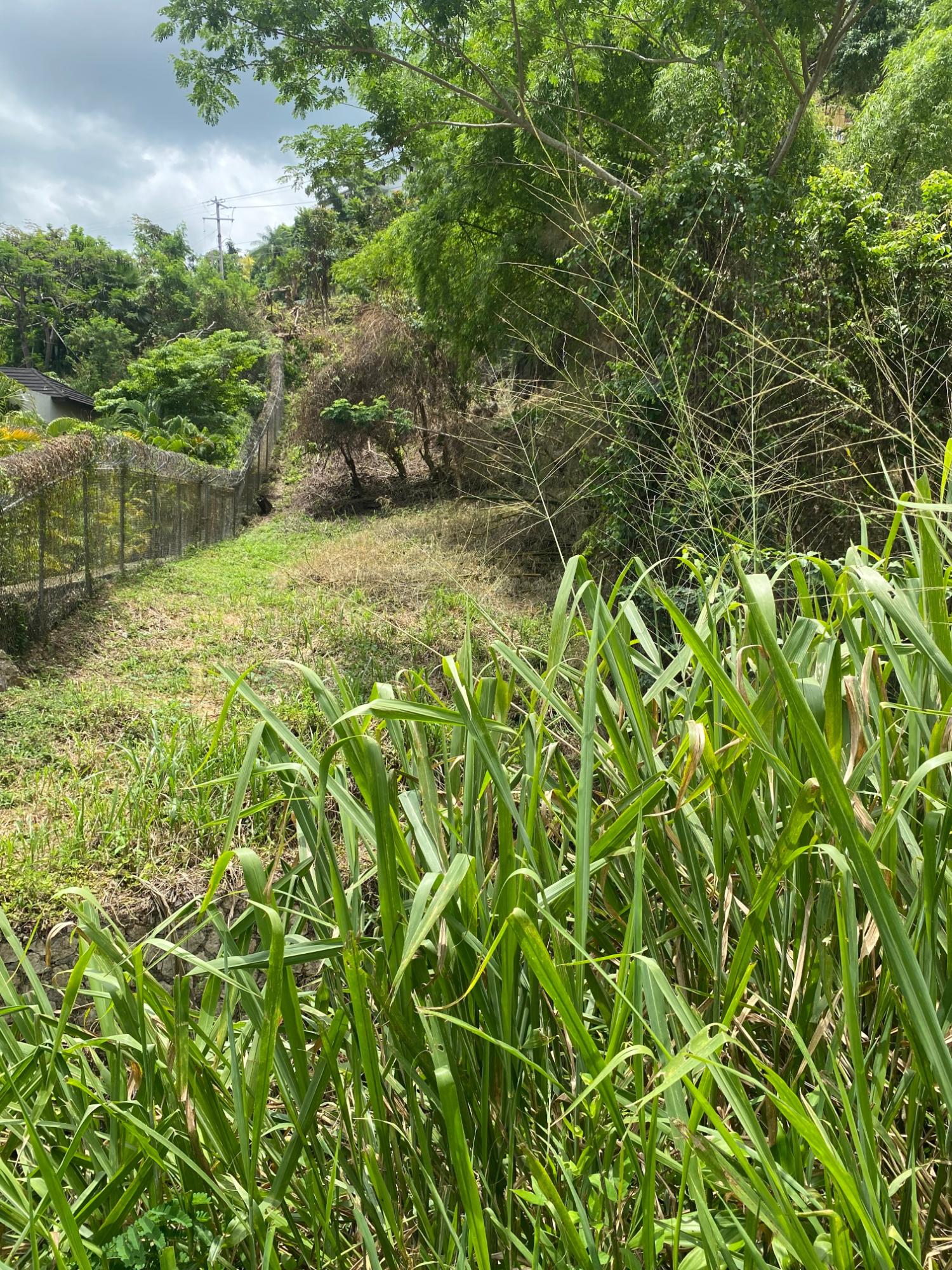 Fifth image of 15 Cherry Hill Drive in Kingston 8, St. Andrew, Jamaica - property is For Sale