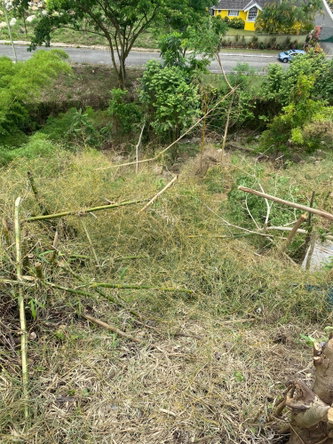 Seventh image of 15 Cherry Hill Drive in Kingston 8, St. Andrew, Jamaica - property is For Sale
