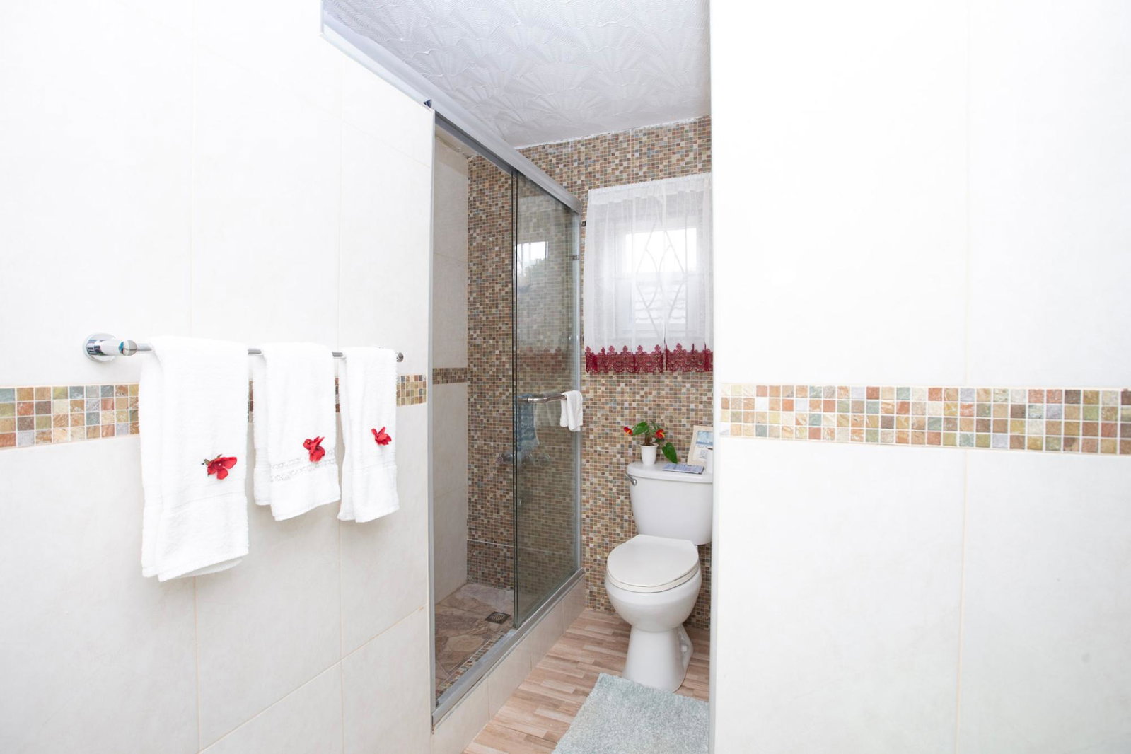 Thirteenth image of 4 Hanbury in Hanbury, Manchester, Jamaica - property is For Sale