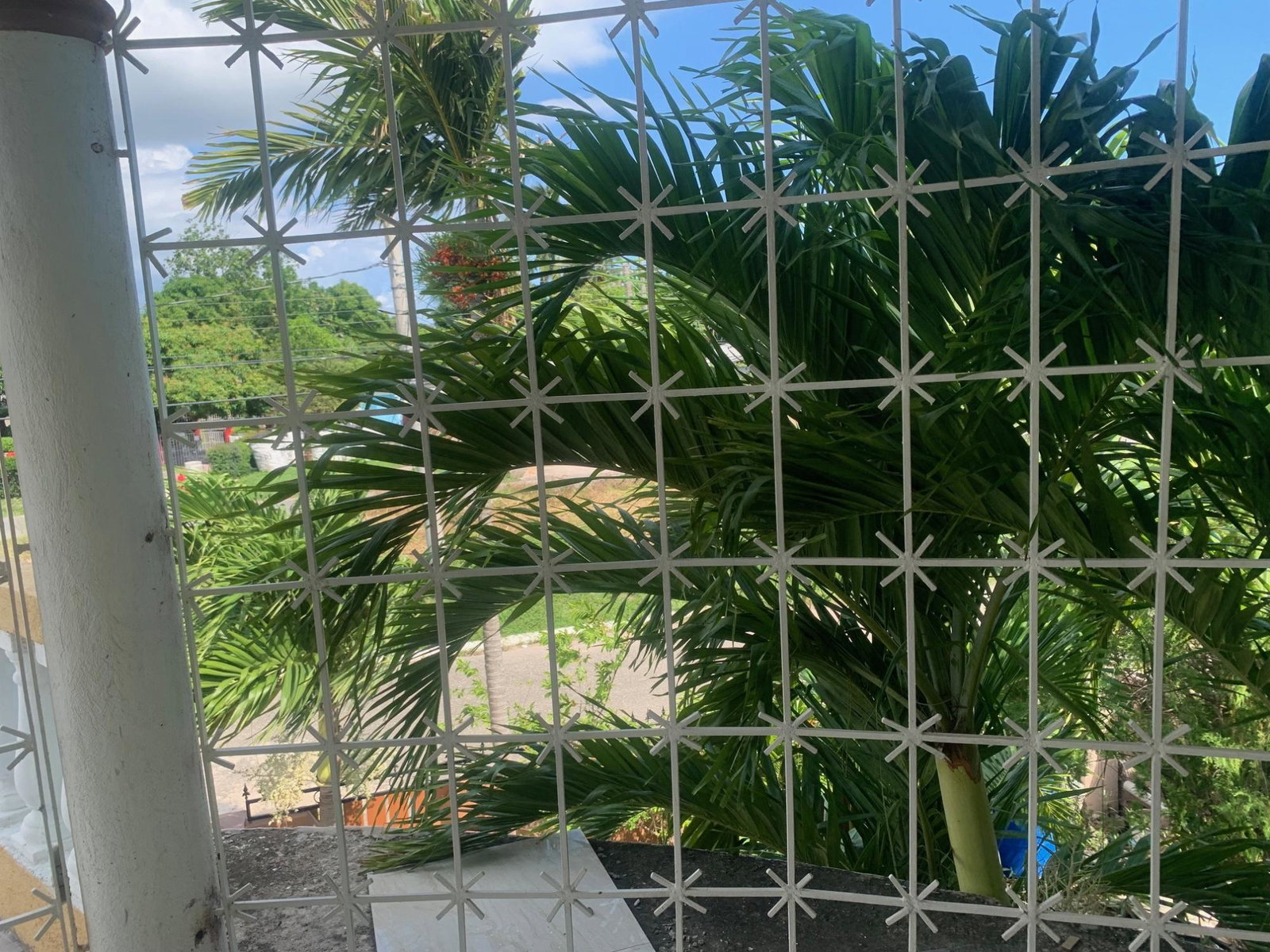 Fourteenth image of b Emerald Close, Sydenham g in Spanish Town, St. Catherine, Jamaica - property is For Rent