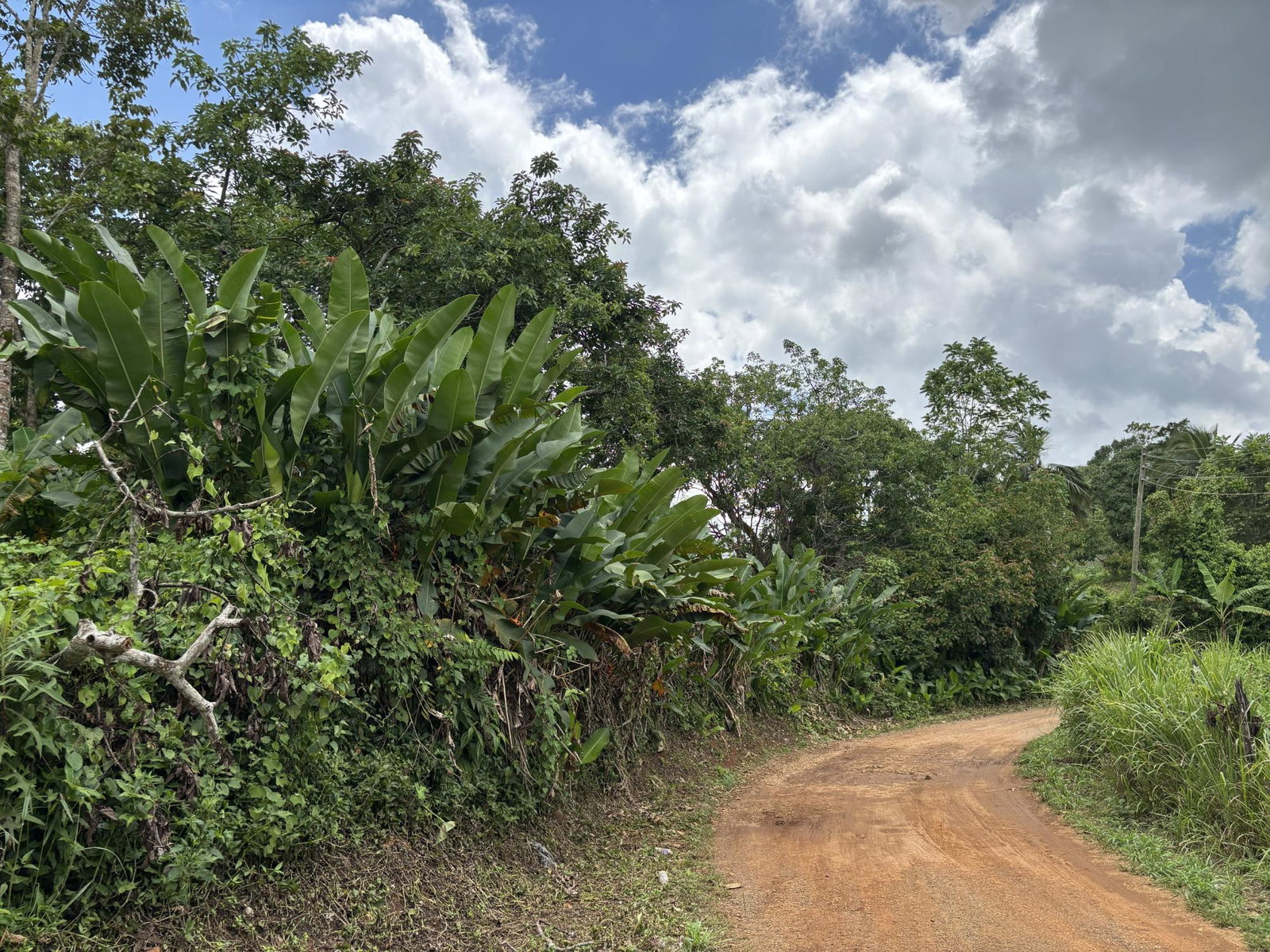 First image of Part of Mocho Called Foga in Mocho, Clarendon, Jamaica - property is For Sale