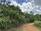 First image of Part of Mocho Called Foga in Mocho, Clarendon, Jamaica - property is For Sale