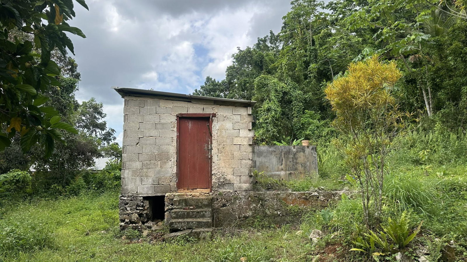 Eighteenth image of Part of Mocho Called Foga in Mocho, Clarendon, Jamaica - property is For Sale