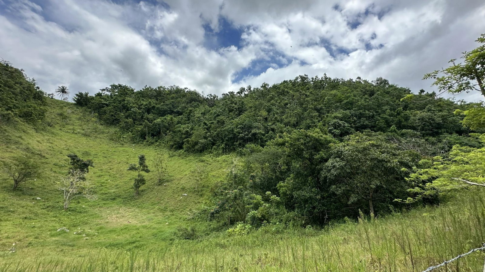 Nineteenth image of Part of Mocho Called Foga in Mocho, Clarendon, Jamaica - property is For Sale