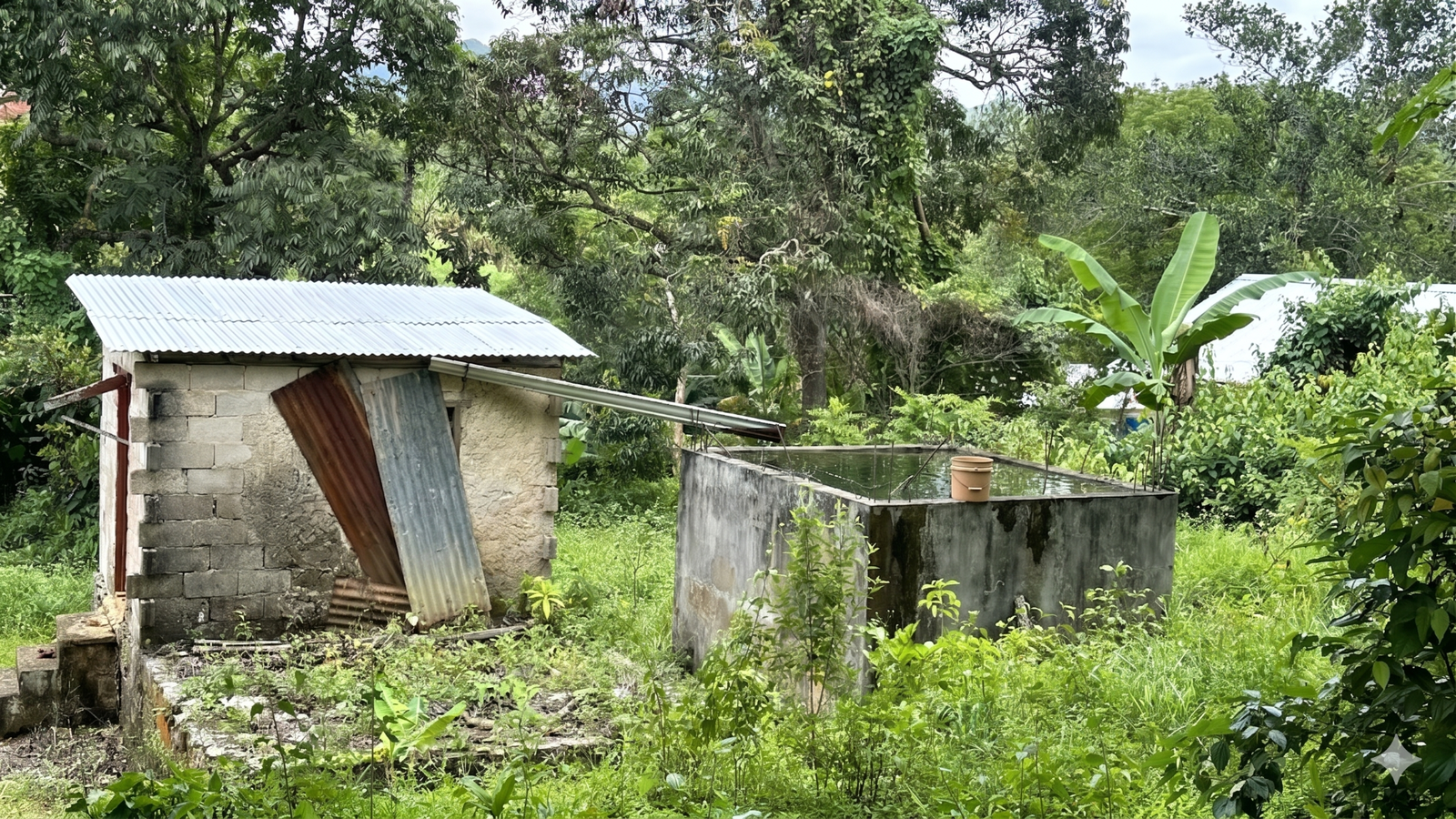 Twentieth image of Part of Mocho Called Foga in Mocho, Clarendon, Jamaica - property is For Sale