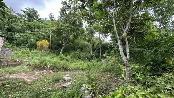 Fourth image of Part of Mocho Called Foga in Mocho, Clarendon, Jamaica - property is For Sale