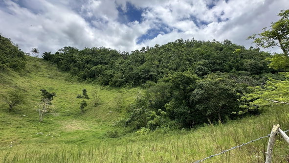 Fifth image of Part of Mocho Called Foga in Mocho, Clarendon, Jamaica - property is For Sale
