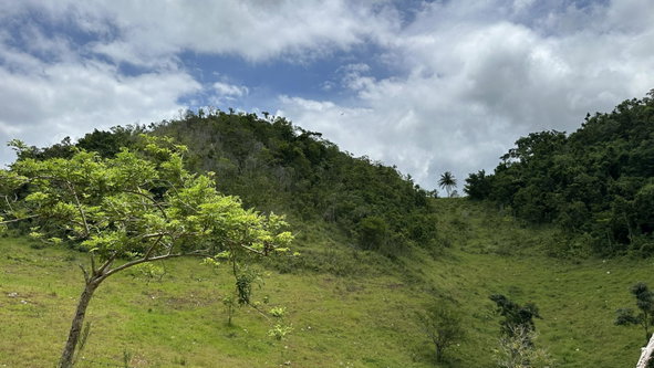 Sixth image of Part of Mocho Called Foga in Mocho, Clarendon, Jamaica - property is For Sale