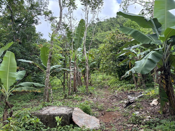 Ninth image of Part of Mocho Called Foga in Mocho, Clarendon, Jamaica - property is For Sale