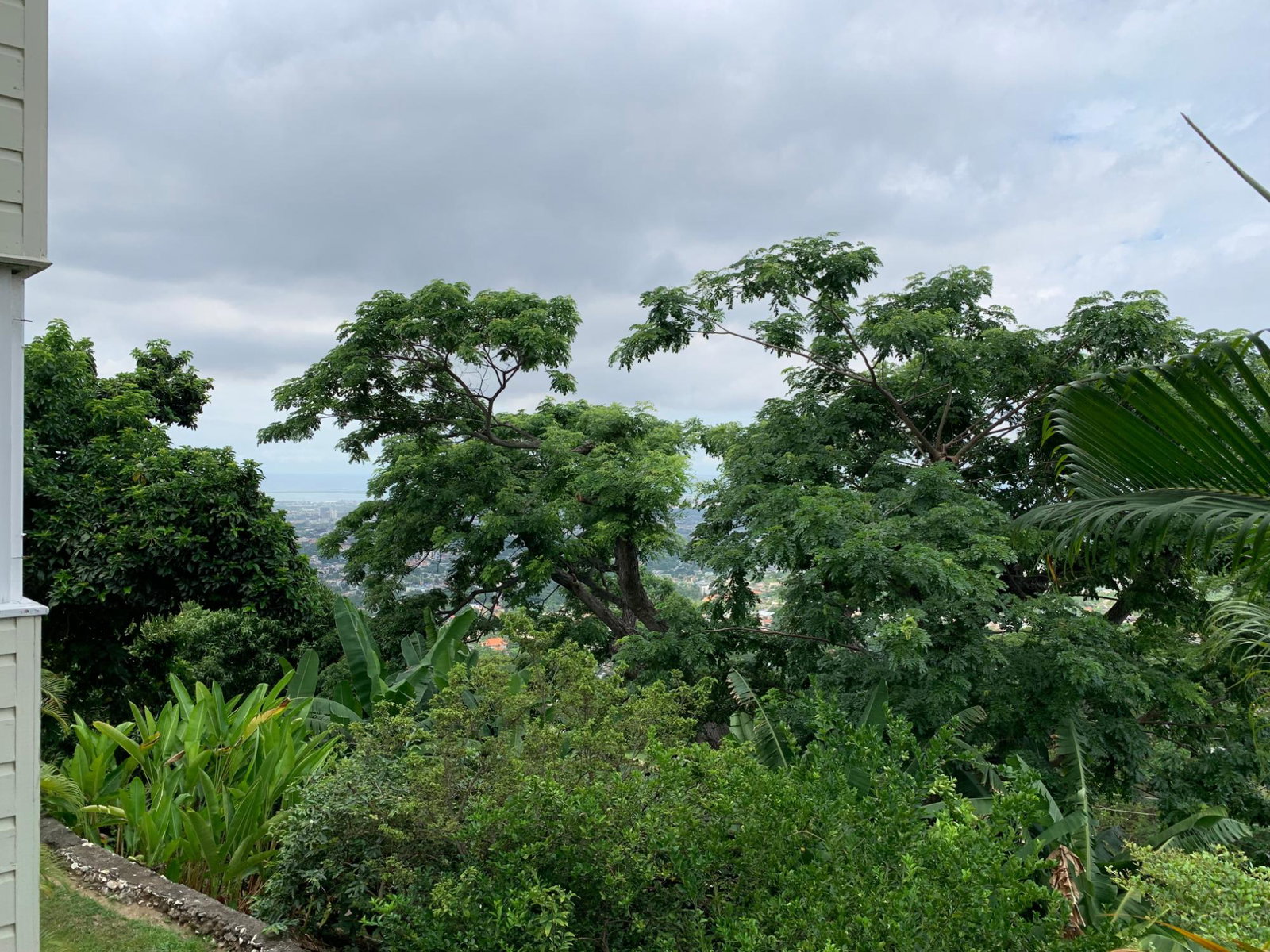 Seventh image of 3-28 Jacks Hill Road in Kingston 6, St. Andrew, Jamaica - property is For Rent