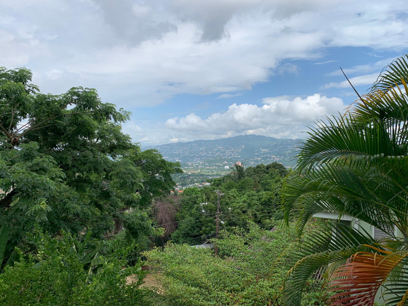 Eighth image of 3-28 Jacks Hill Road in Kingston 6, St. Andrew, Jamaica - property is For Rent