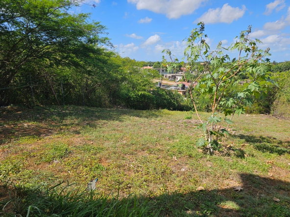 Fifteenth image of 232 Hearne Drive, Fairview pa in Crescent, St. Catherine, Jamaica - property is For Sale