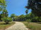 First image of 101 Part of Pitkelleney, Negr in Negril, Westmoreland, Jamaica - property is For Sale