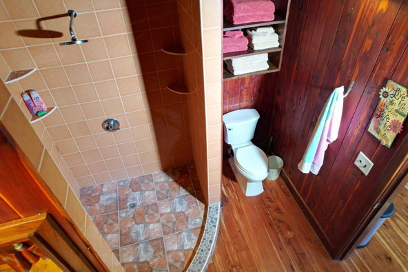 Seventeenth image of 101 Part of Pitkelleney, Negr in Negril, Westmoreland, Jamaica - property is For Sale
