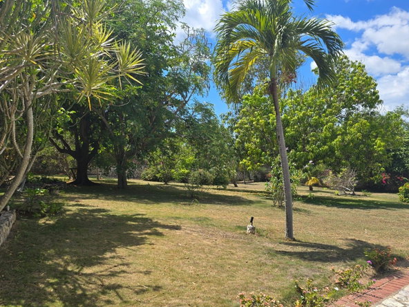 Twentieth image of 101 Part of Pitkelleney, Negr in Negril, Westmoreland, Jamaica - property is For Sale