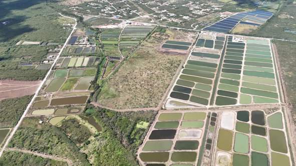 Fourth image of Hillrun Road in Hill Run, St. Catherine, Jamaica - property is For Sale