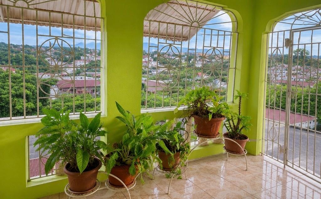 Second image of 97 Rose Mount Gardens in Rosemount Gardens, St. James, Jamaica - property is For Rent
