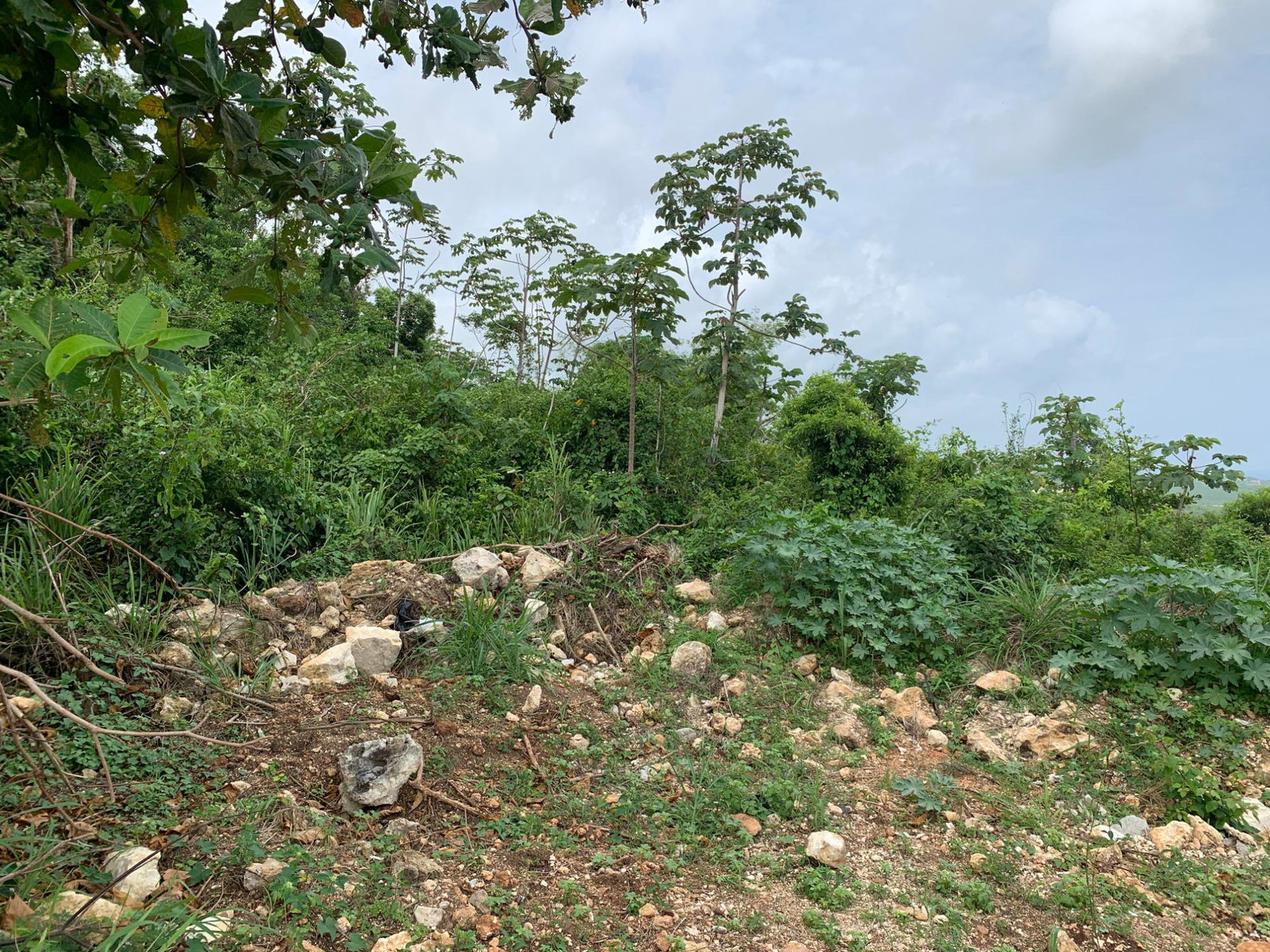 Eleventh image of 183 Torada Heights in Little River, St. James, Jamaica - property is For Sale