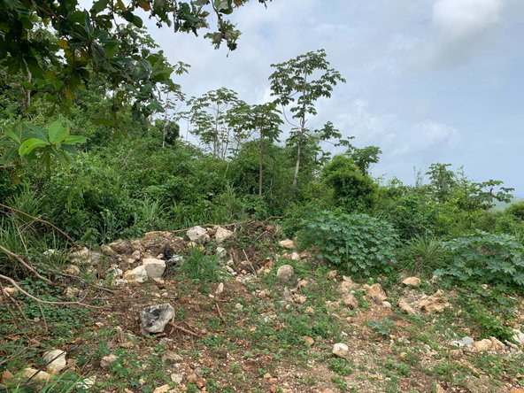 Eleventh image of 183 Torada Heights in Little River, St. James, Jamaica - property is For Sale