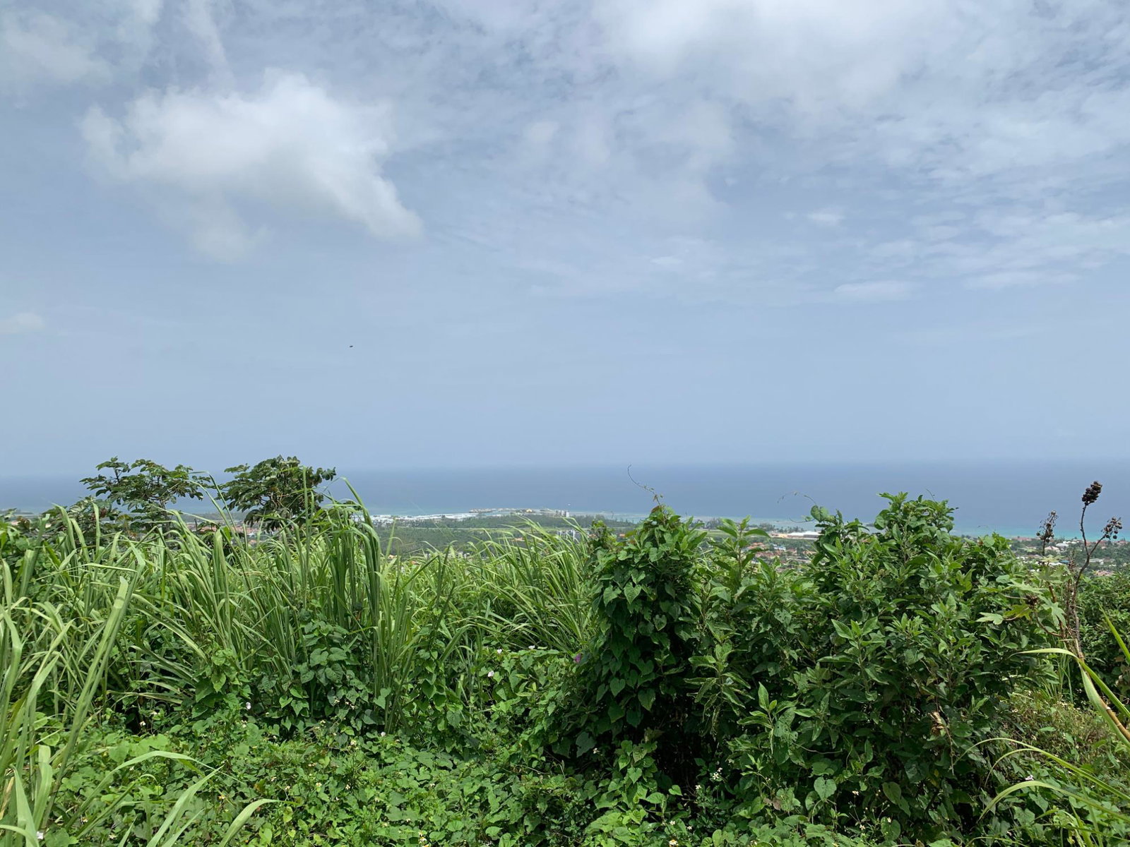 Thirteenth image of 183 Torada Heights in Little River, St. James, Jamaica - property is For Sale