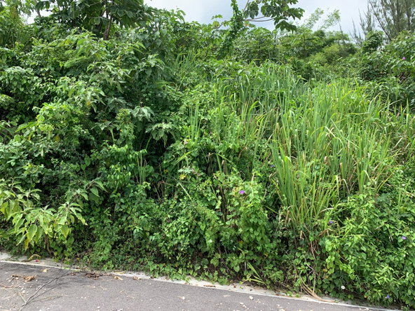 Fifth image of 183 Torada Heights in Little River, St. James, Jamaica - property is For Sale