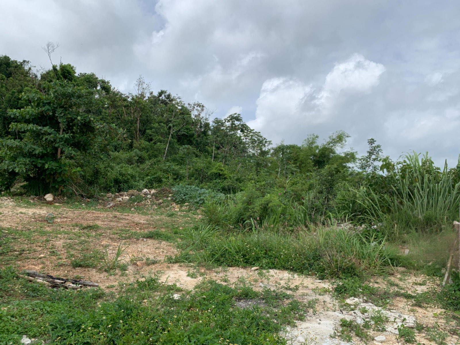 Eighth image of 183 Torada Heights in Little River, St. James, Jamaica - property is For Sale