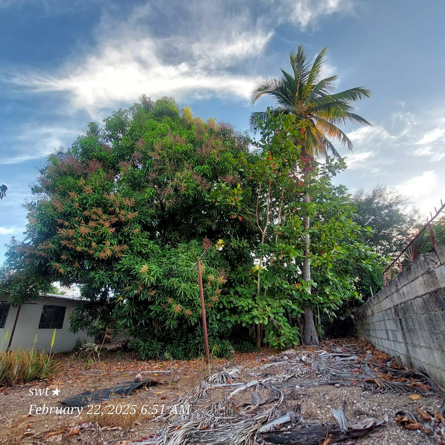 Eighth image of Bonanza Drive in Lauriston, St. Catherine, Jamaica - property is For Sale