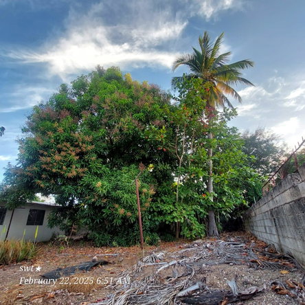 Eighth image of Bonanza Drive in Lauriston, St. Catherine, Jamaica - property is For Sale